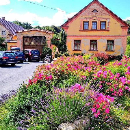 Apartmany Kosov 2 Bor Exteriör bild
