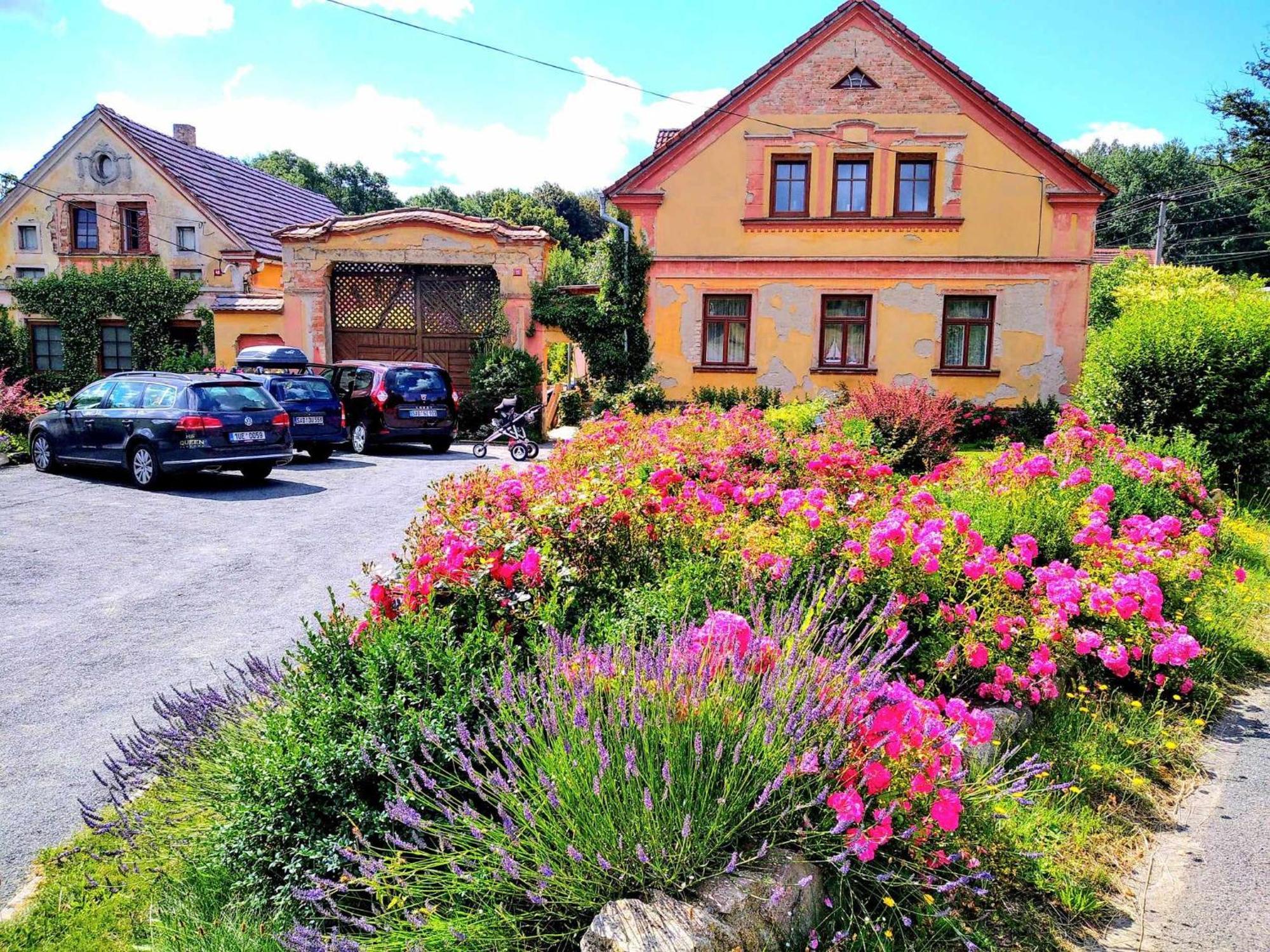 Apartmany Kosov 2 Bor Exteriör bild